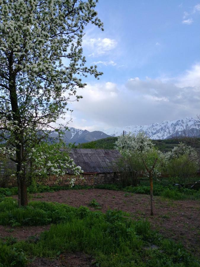 Tatev Guest House Bagian luar foto